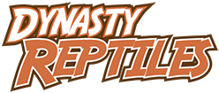 cropped-dynastylogo-SMALL.png